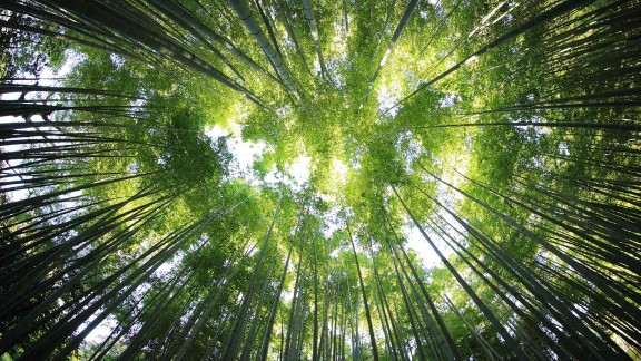 王者荣耀刷圈软件能帮我赚取更多快手粉丝?